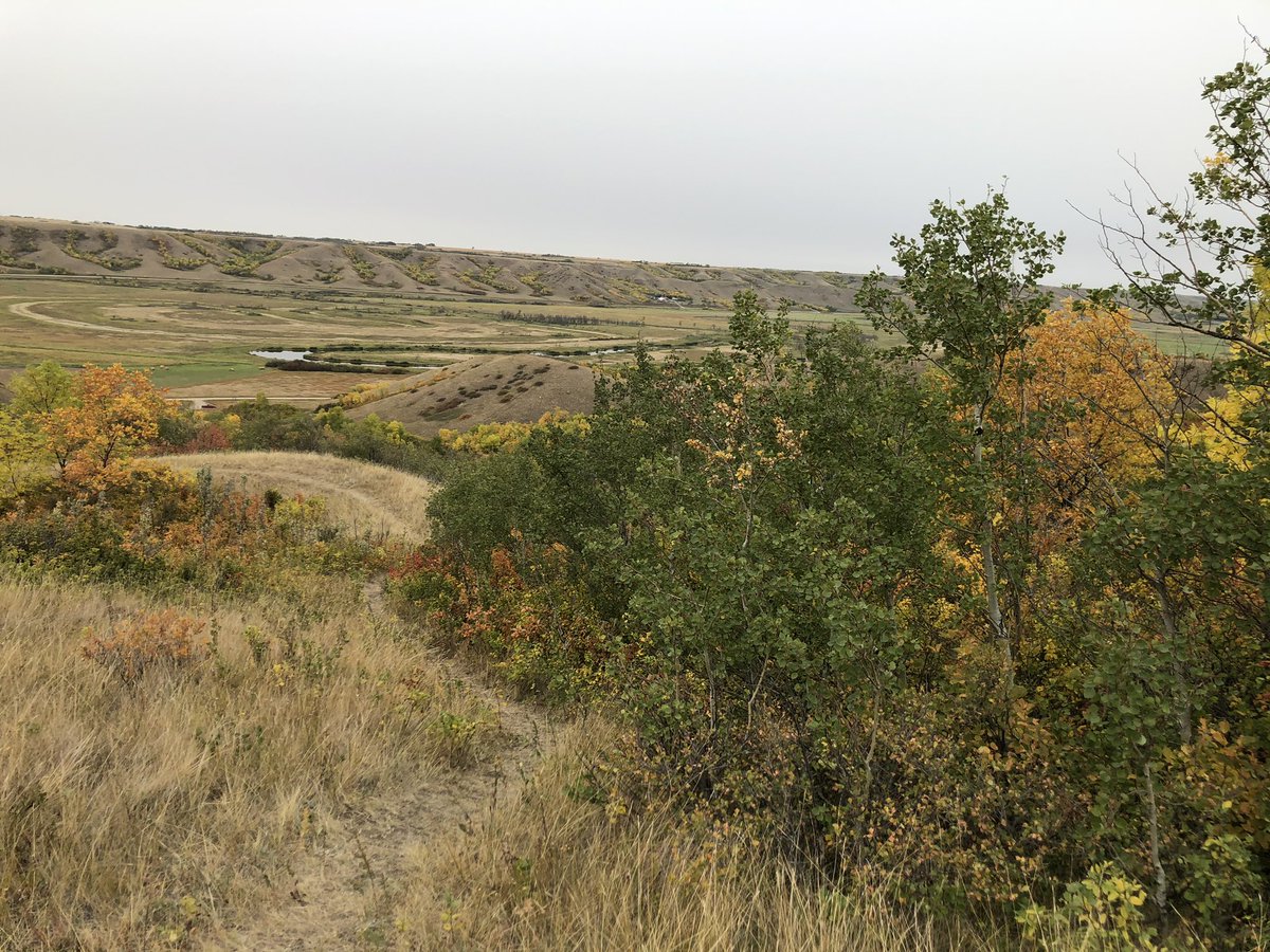 Regina Road Runners tweet media