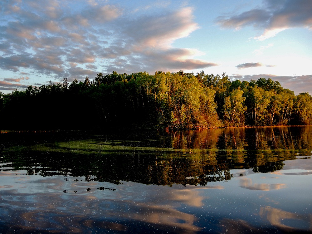 People who spend time outside experience positive mood changes and more creative thinking. #HPHP