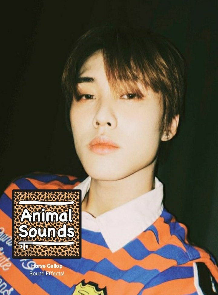 𝙅𝙖𝙘𝙤𝙗 𝙖𝙨 𝙍𝙖𝙛𝙖𝙚𝙡 𝘿𝙞𝙖𝙨-Faz equitação e curte de animais-Estuda no conservatório de musica-Super simpático mas super beto