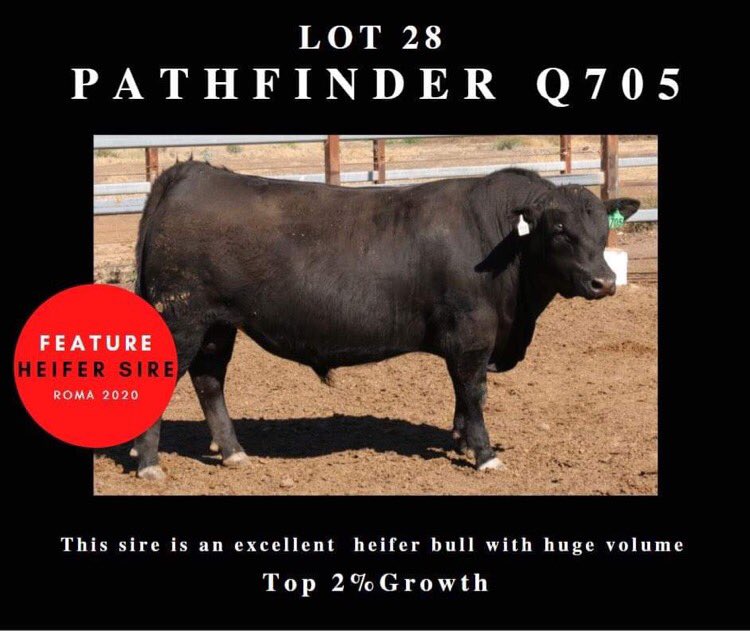 Pathfinder Angus tweet media