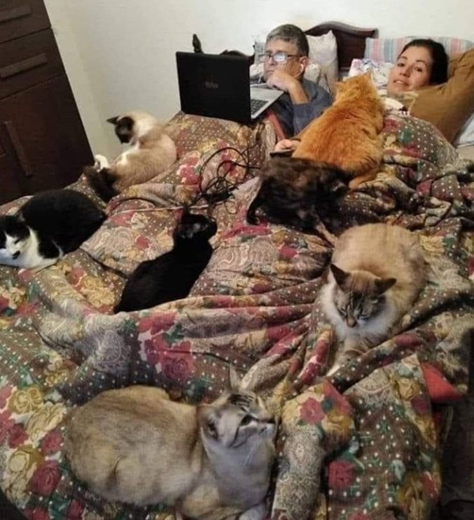 leoneltudo's tweet image. si no vamos a estar asi mejor deja