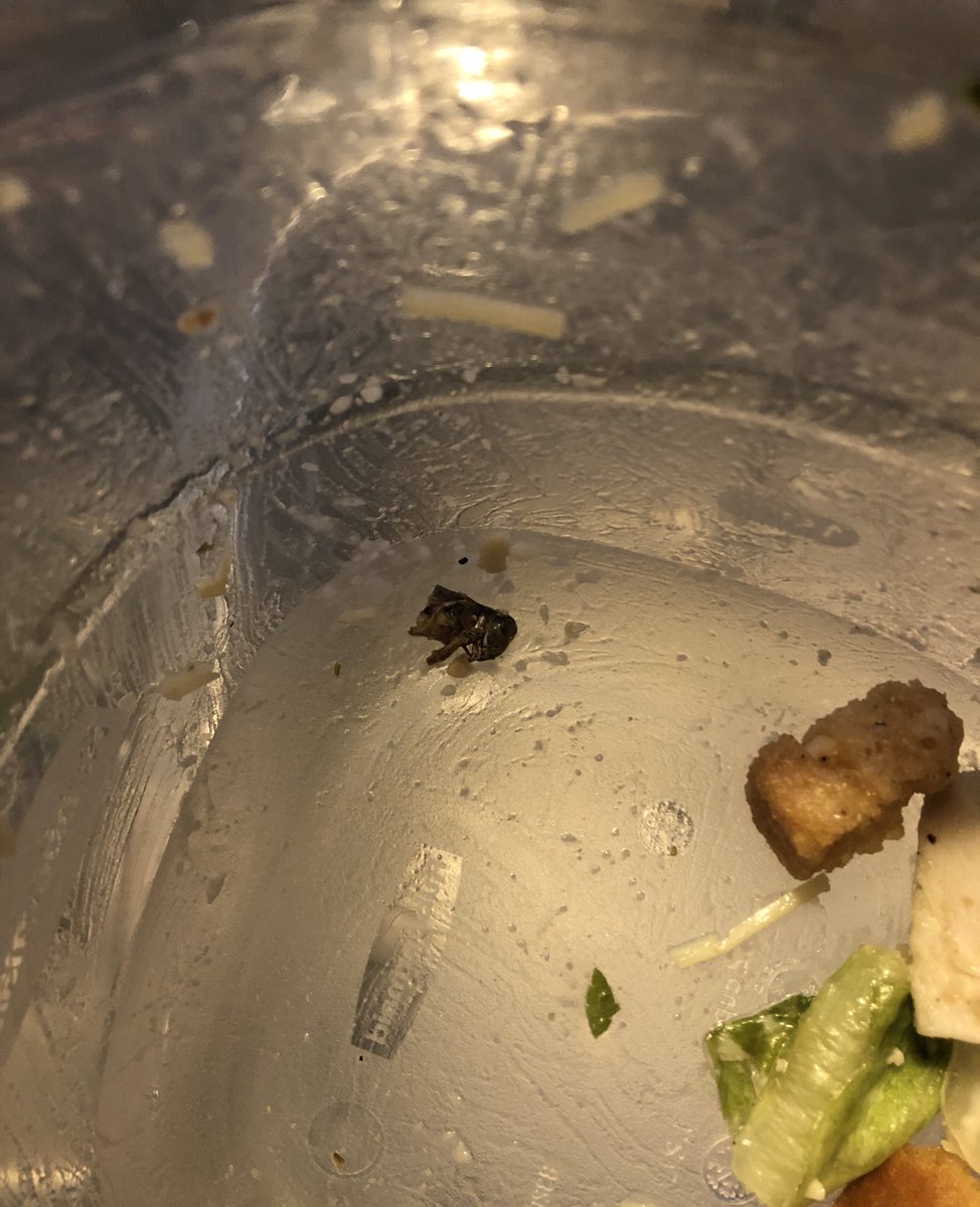 k_gurn's tweet photo. Normally I’m a huge fan of the salads from #TraderJoes but tonight’s was not my favorite. Don’t remember seeing this guy on the ingredient list ...🤢 https://t.co/VRwIoDBv11