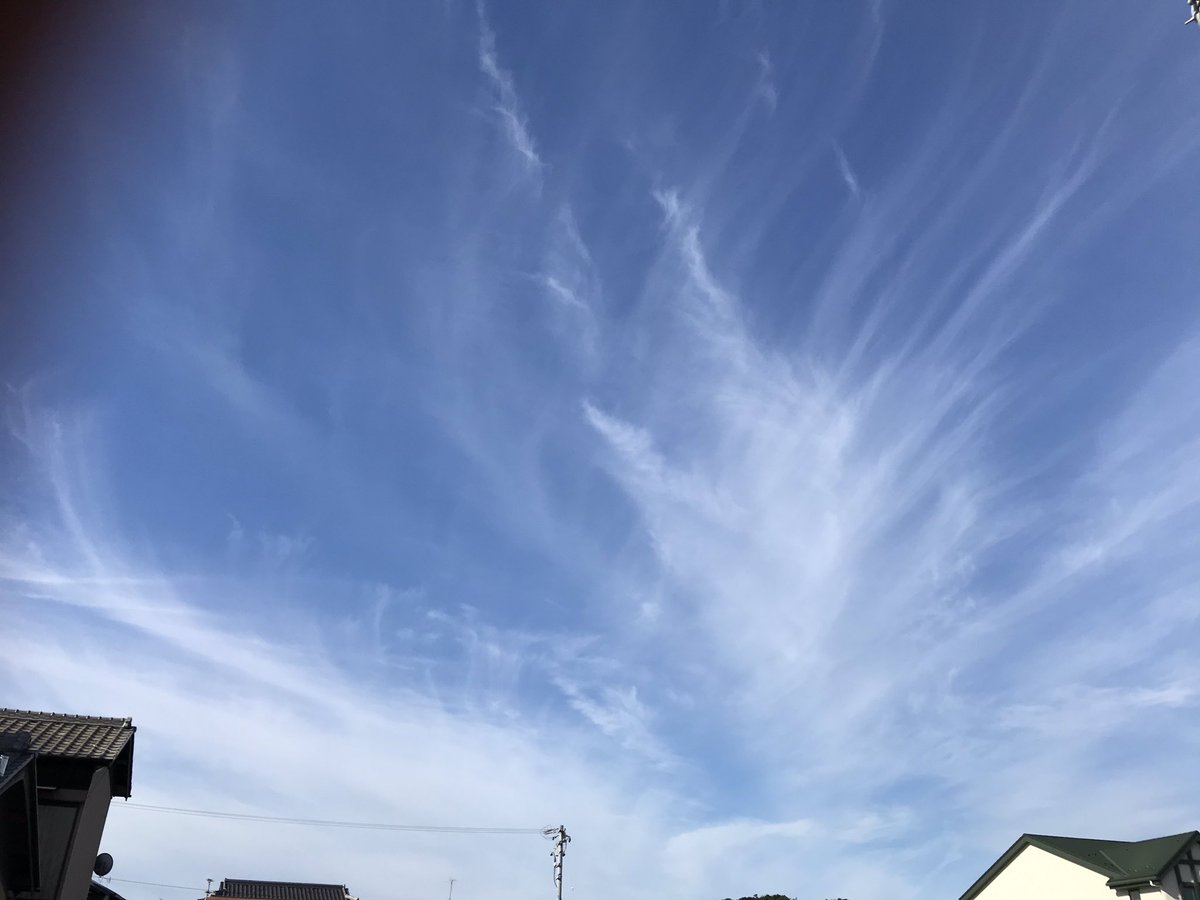 空も秋の気配

おはようございます
今日も穏やかな1日でありますように♪*.＊