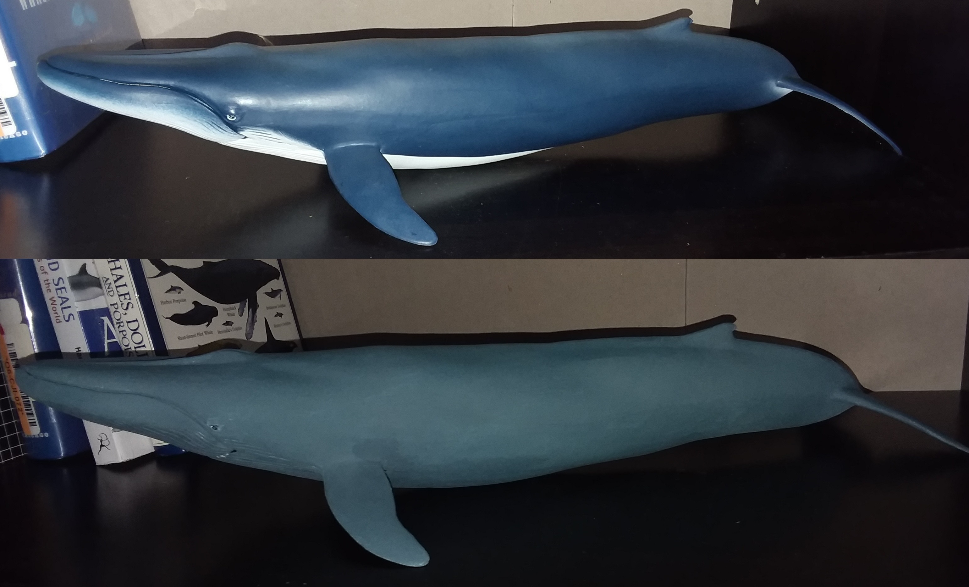Correcting paintjob of Papo s 2018 Blue Whale