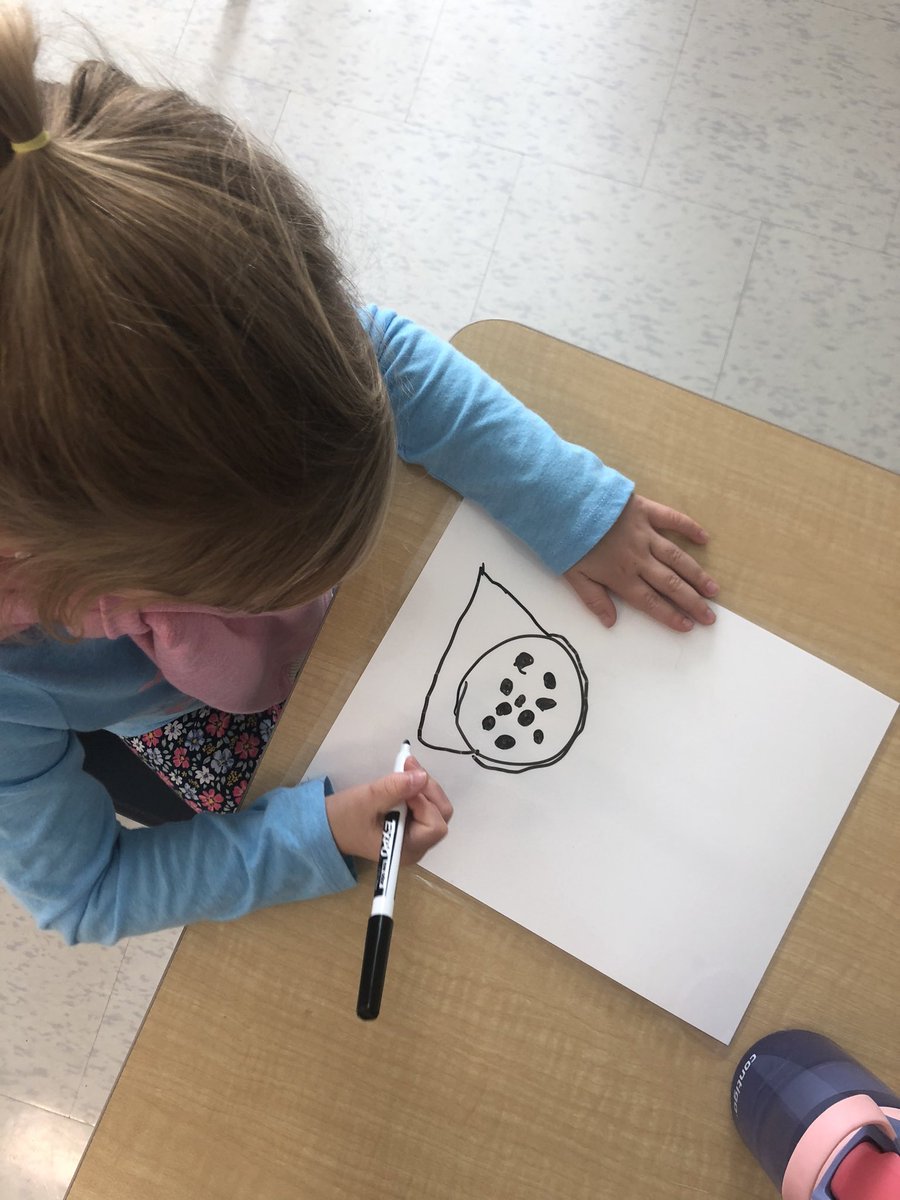 MsRose_33's tweet photo. So impressed with how our numeracy block went today! From finding materials around the room that represented “10” to drawing their findings followed by an interesting “Dot talk”... these kids are amazing!!
#wecanalllearnmath @scdsbmath #SK1 @boyne_river https://t.co/thg95ja83q