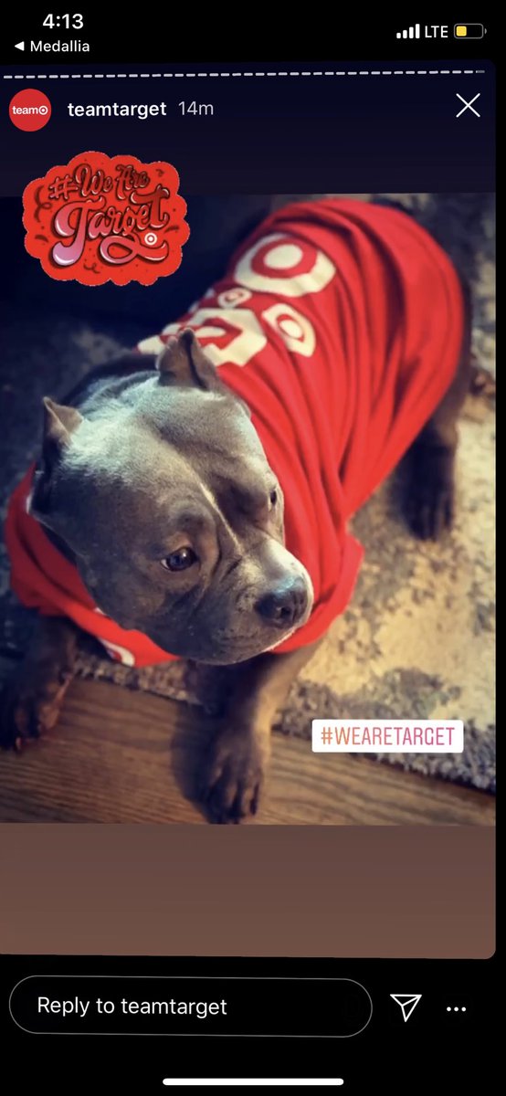 MJWestbrook_TGT's tweet photo. My fur baby was featured on the @TeamTarget IG today!!! My dog mom pride is on overload😬😬. Hi Bentley baby 👋🏾!! Thank you @target for the love! ❤️❤️ #FallNational2020 #FurBaby #TargetBaby https://t.co/rNY9xCc6Ry