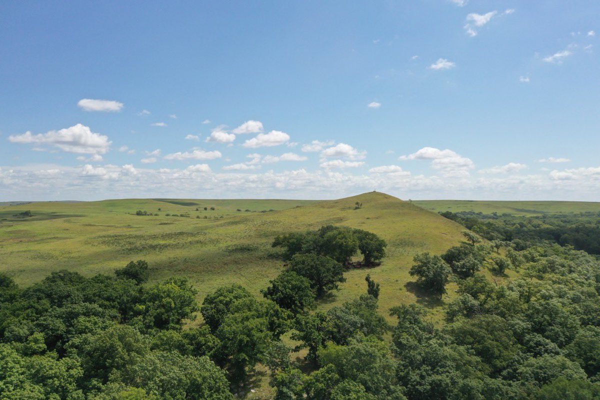 Fabulous view from the top of this scenic portion of the Kansas Flint Hills of Chase County we have the good fortune to sell the first week of November! #SundgrenAuction #FlintHills