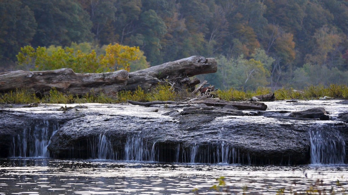 LinkTV's tweet photo. The episode also looks at how neighborhood groups in West Virginia are mobilizing to protect their streams and groundwater from toxic waste. Tune in Sept. 16 at 9:30pmET/6:30pmPT to watch on Link TV. https://t.co/EJX3yS5sBI