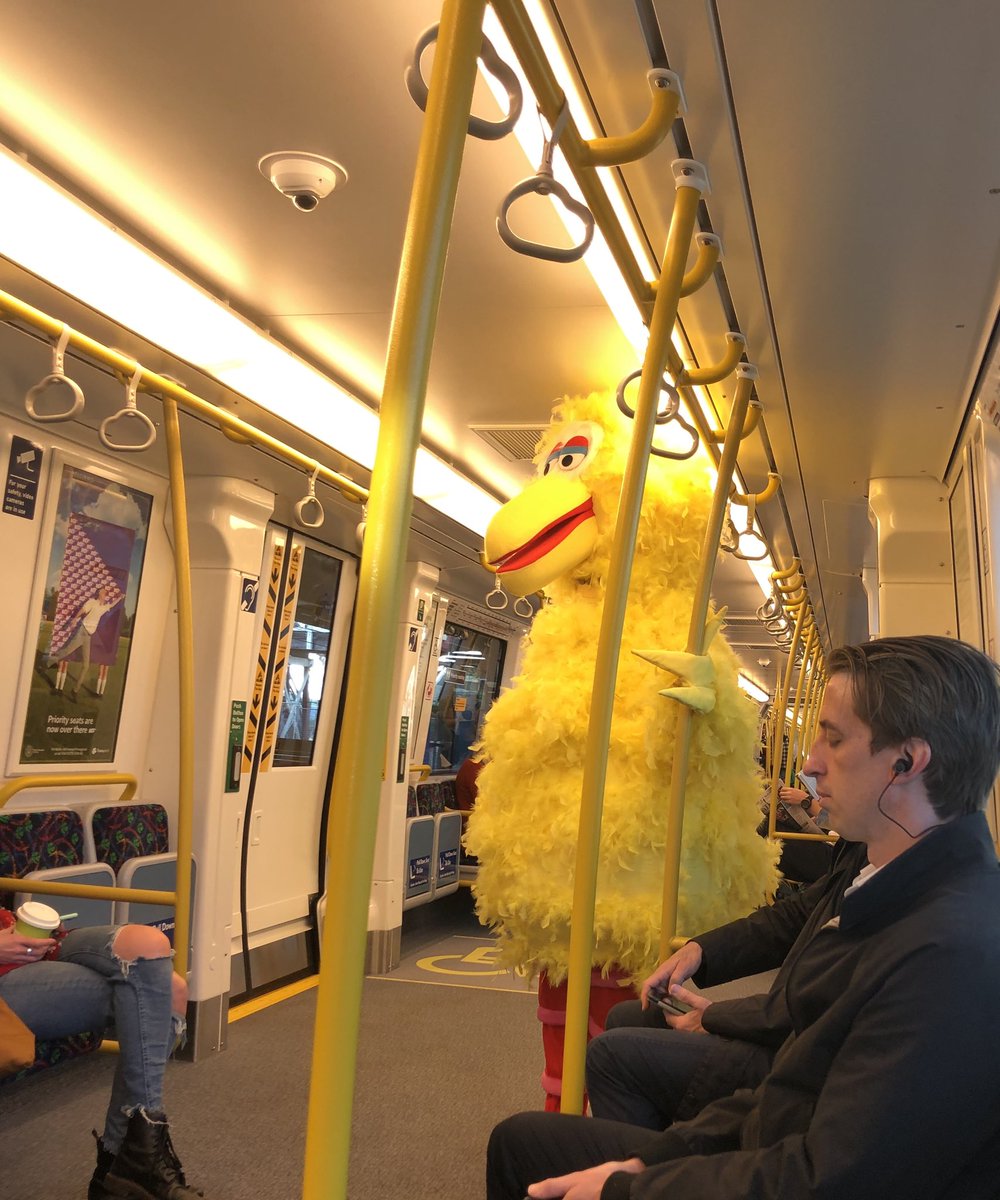 Gillian OShaughnessy tweet media