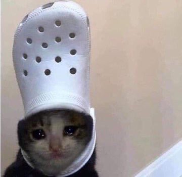 the tl is so great when everyone is freaking out and it's not bc of drama