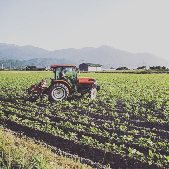 JackOfAllCades's tweet photo. We’re back and ready to farm! Come join us at 8pm CST. https://t.co/AYRQqQT16n #twitch #twitchstreamer #twitchgamer #twitchaffiliate #fs19mods #fs19 #farmingsimulator19 #pixelfarming #virtualfarming https://t.co/0braZOgDCJ