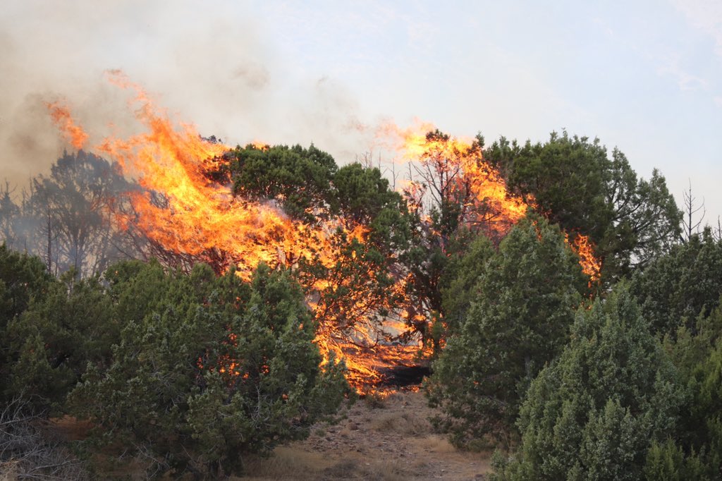 SGTCannonPIO's tweet image. One of our @UCSO Sergeants took these photos at the #GoshenFire yesterday. Since @Twitter doesn’t allow more than four pics at a time I’ll do them in stages. 1/3