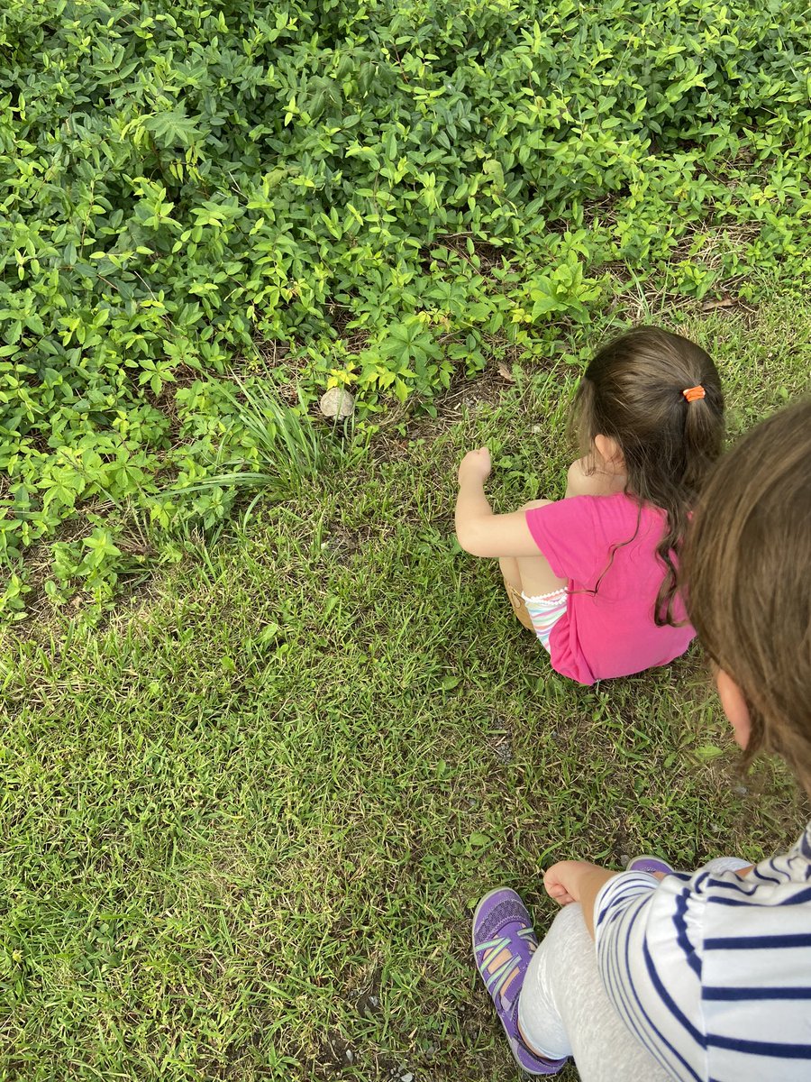 Mrs. McGrady tweet media