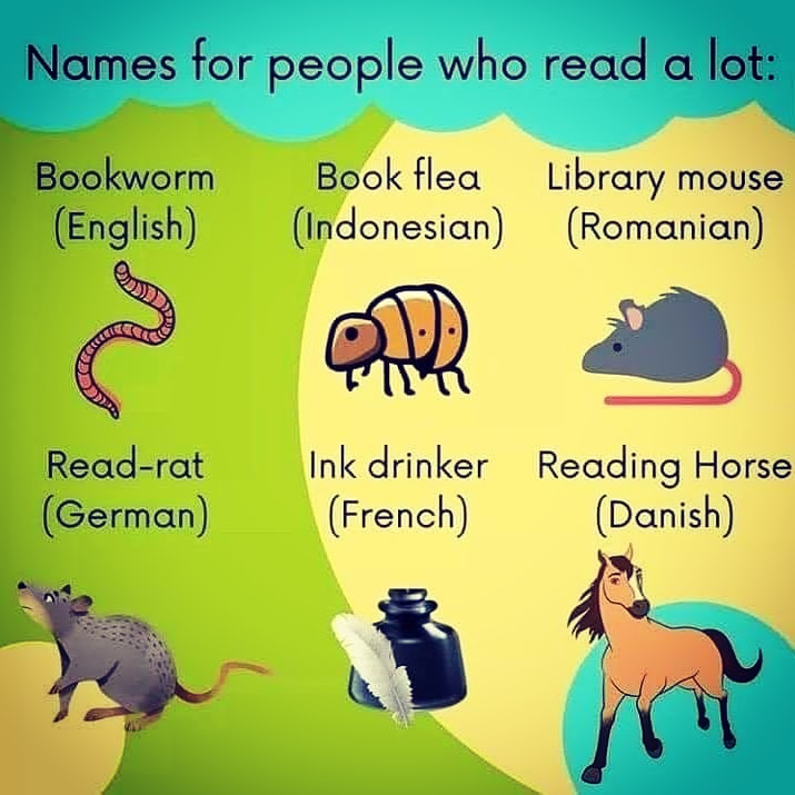 AlisBookNookCo1's tweet photo. Which is your favorite?  #readinghorse #bookworm #bookflea #librarymouse #readrat #inkdrinker https://t.co/q4KbLxTCKm