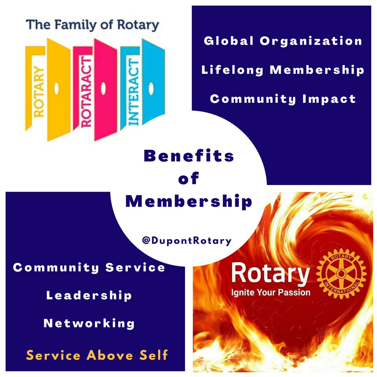 Dupont Circle Rotary tweet media