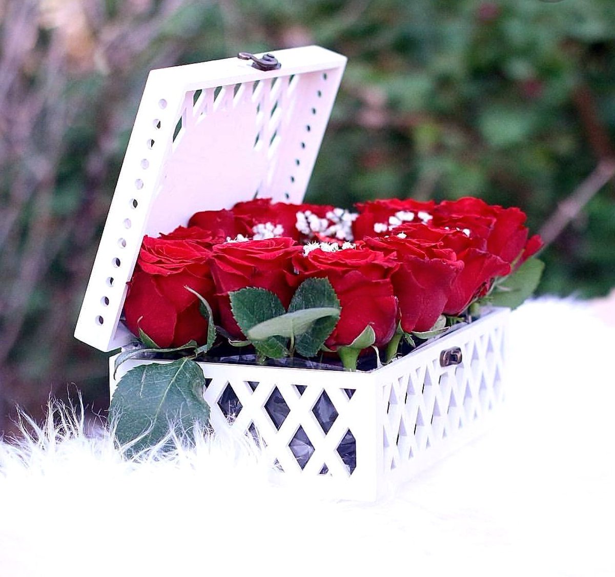 ℋ𝒜ℳ𝒮 tweet media