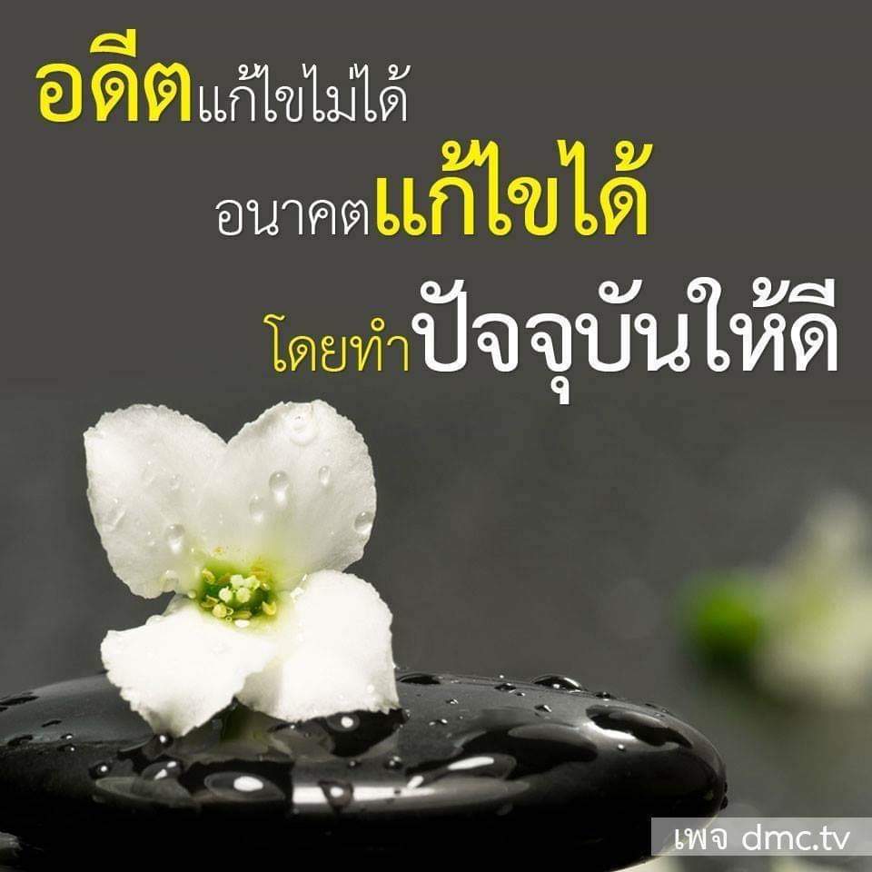 trechada999's tweet photo. #NewProfilePic https://t.co/Voys2XzFGx