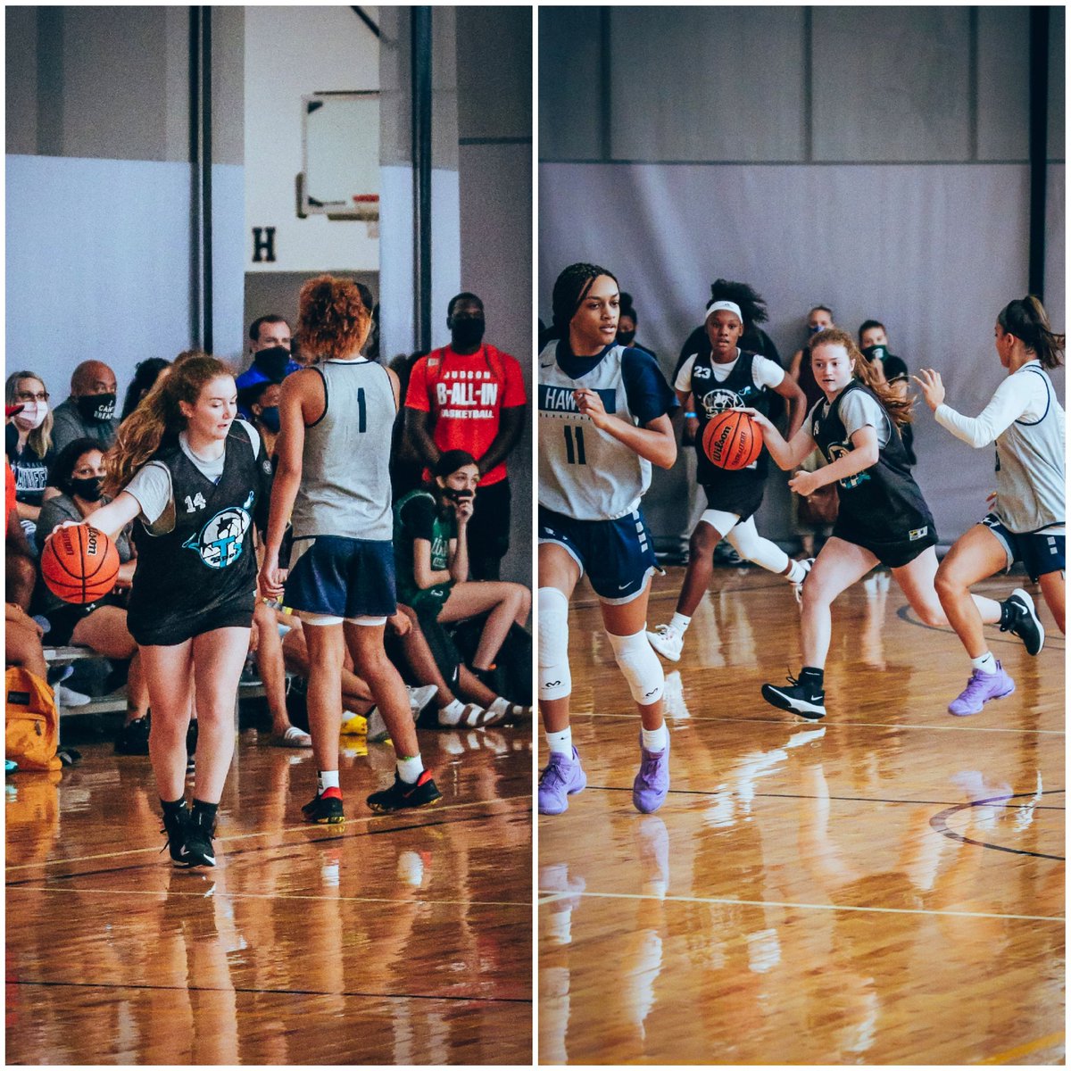DadBuffalo's tweet photo. Enjoyed some preseason tournament play this weekend featuring @scladybuffhoops  @ACH_GBB Keep Working!! https://t.co/PY2bC6MyXE