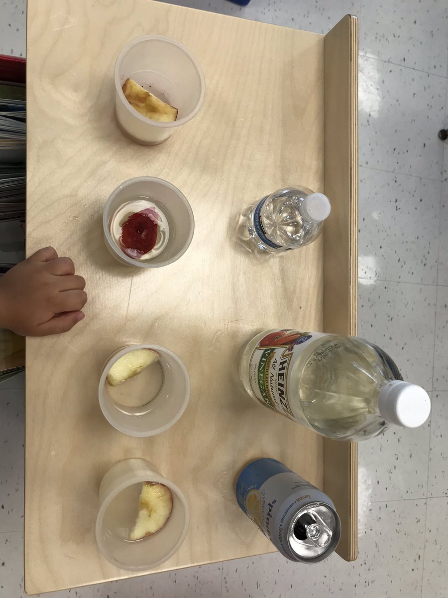 KathrynCorcor14's tweet photo. Apple Science Experiment 🍎🔎#PMPreschool #AppleTheme #WeAreChesterNJ https://t.co/1zQUfDWze3