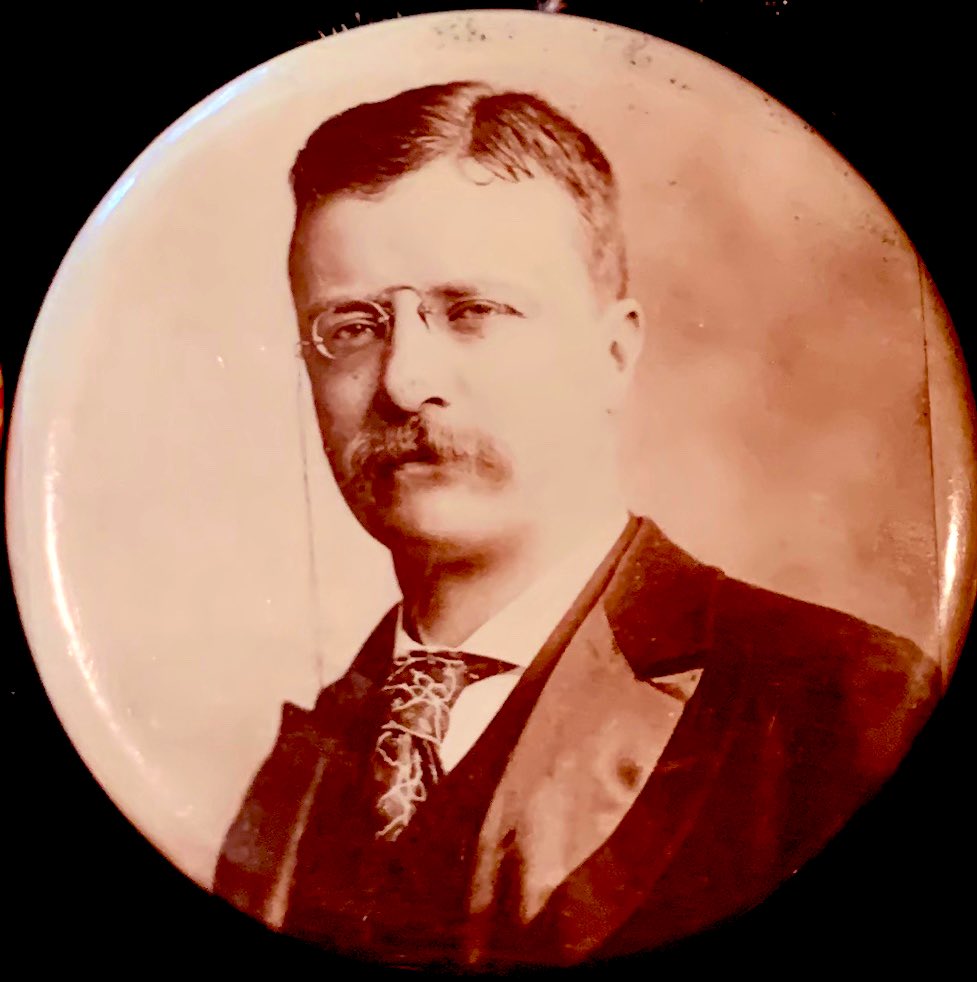 APIC_USA's tweet photo. #OTD in 1901, #TheodoreRoosevelt, aged 42, is sworn in as the 26th #POTUS in #Buffalo, NY. https://t.co/l2SlxtXvkJ