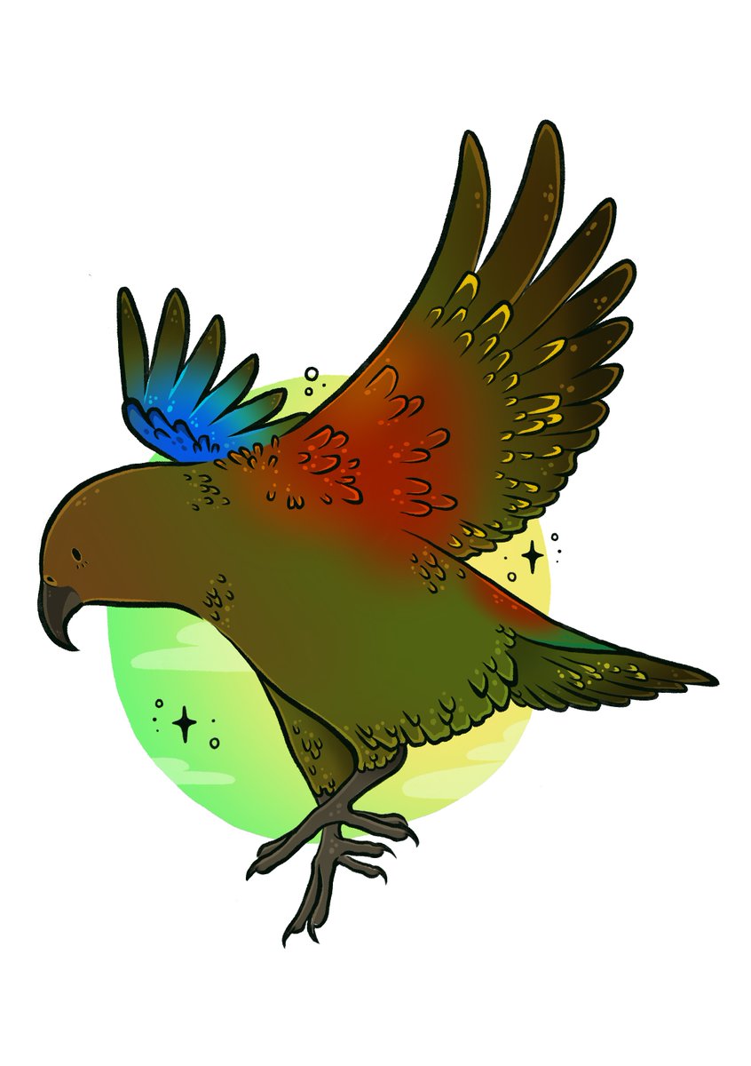 The Kea is an endangered alpine parrot found in the South Island. They are very well known for causing damage to vehicles, buildings and property. They are apparently as smart as a 4-year old child and have been known to use tools!