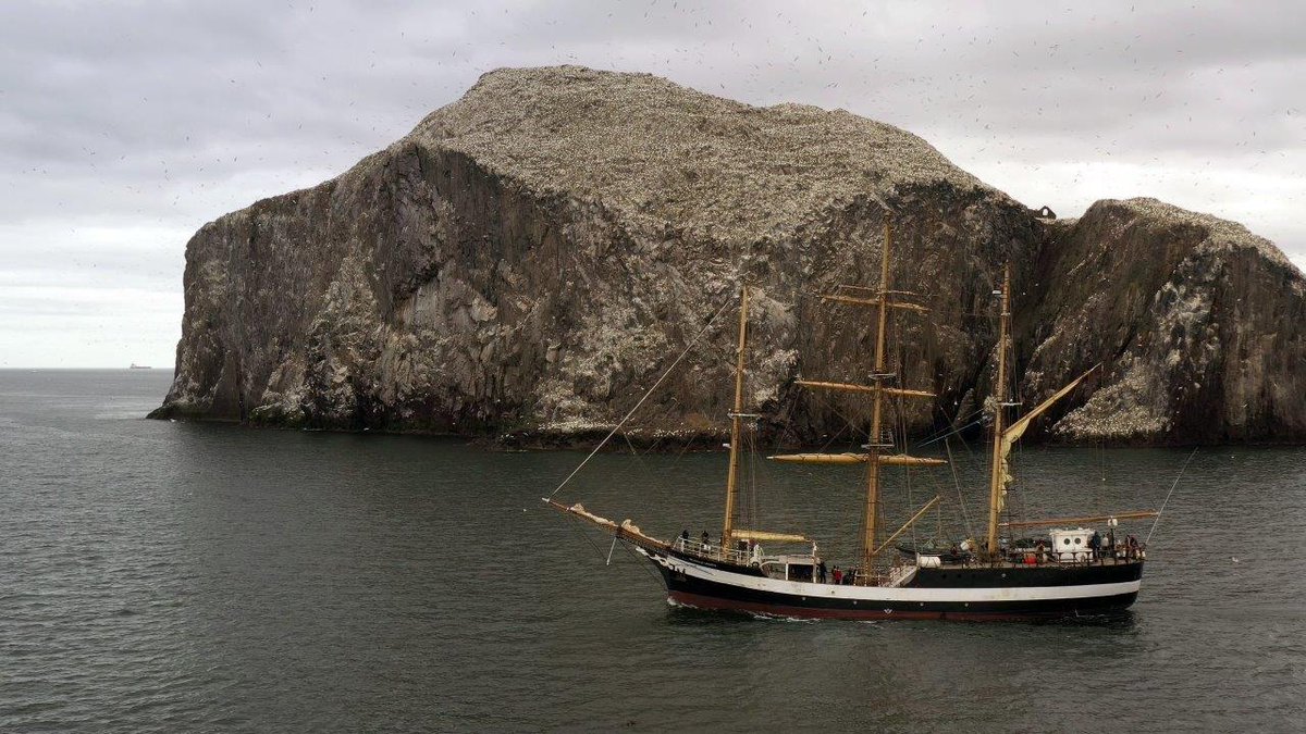 EBTSOYP's tweet photo. Tomorrow (15th) @ 9am eastern we are going live from Bass Rock off the Scottish coast. We'll join Stewart McPherson and scientists from the @darwin200_ expedition as they explore this island, jam-packed with over 150,000 breeding seabirds!
Tune in live: https://t.co/OVtI0TzKXj https://t.co/34G2PqbEPC