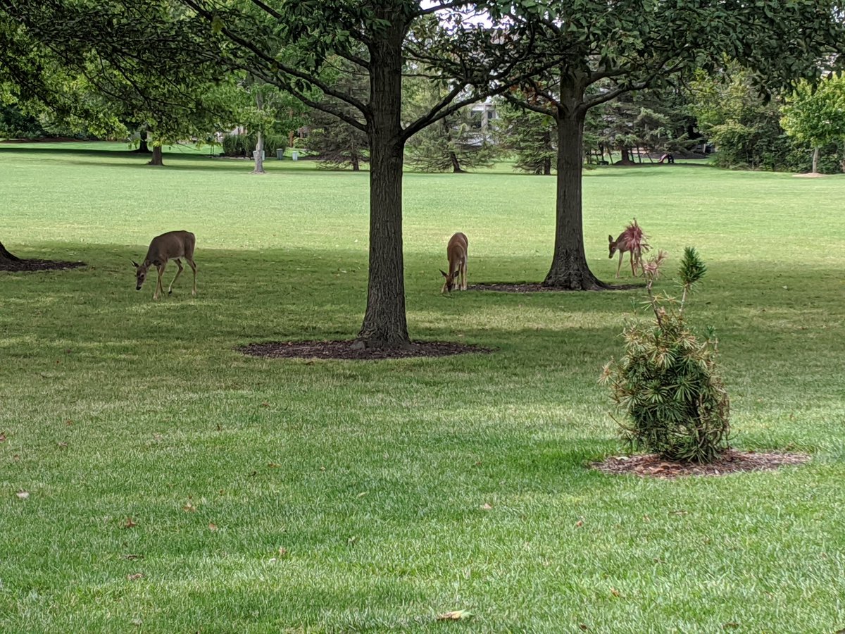 Sarah Alexander tweet media