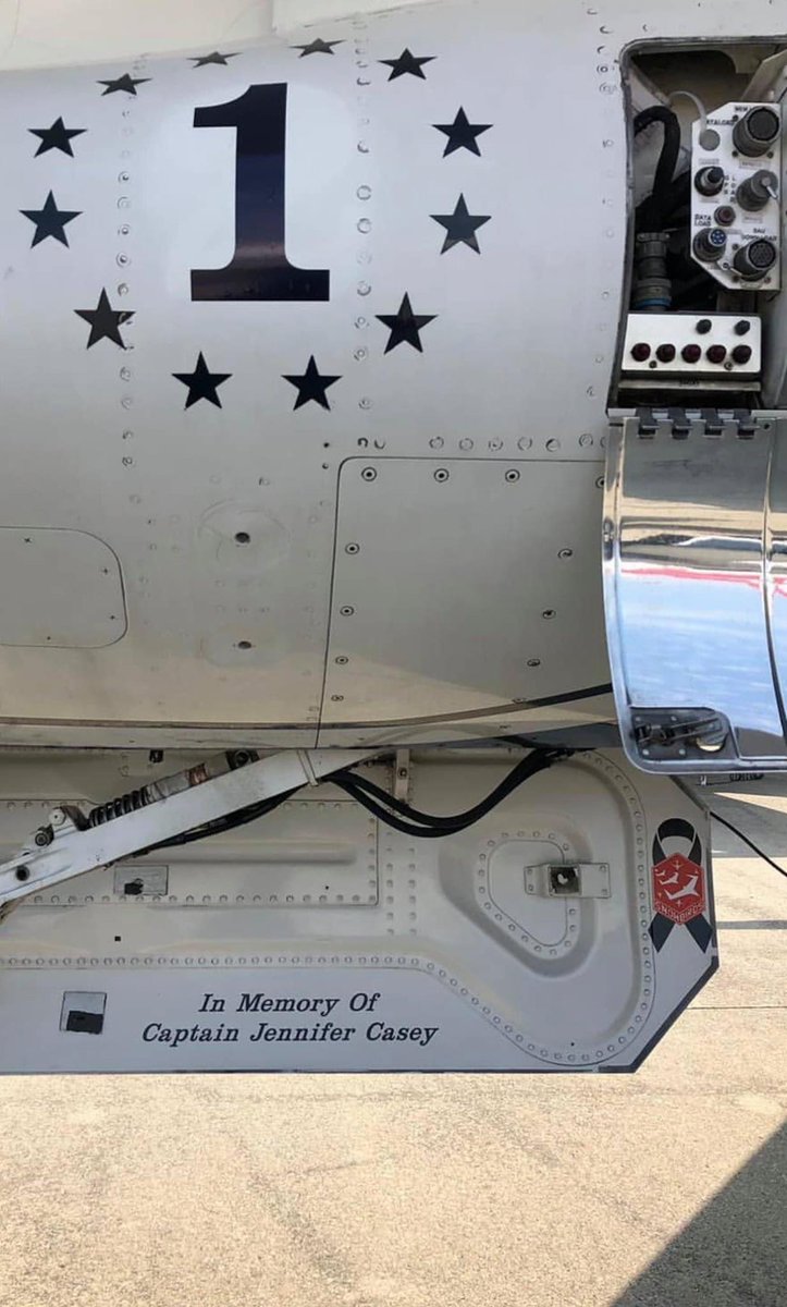 CAFinUS's tweet image. Dear America,

Earlier this year, we lost our sister in a tragic accident.

Amidst a pandemic, she tried to make it better if only for a moment. She always shone a light.

Your @AFThunderbirds are paying tribute to her. Thank you for them. Thank you, America.

Yours,

@CAFinUS