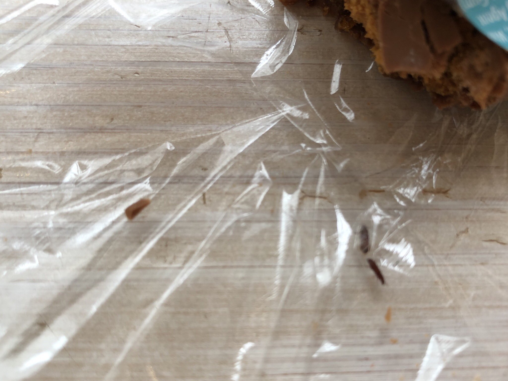 うさぎ マイプロテインの虫沸き騒動今知ったんだけど見事に同じ時期に同じ商品だったから詳しく見てみたら同ロット 慌てて開けてみたら無数に蠢く白いダニ と割ったら生きた虫がー 私気づかず何本か食べたよ T Co 5zzurndfwy