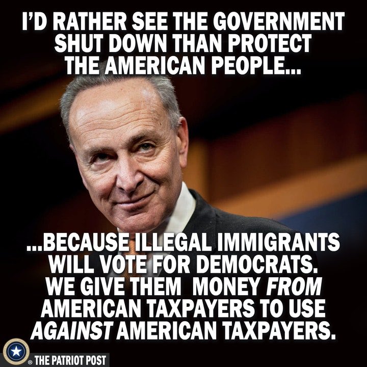 SparkyPatriot's tweet photo. @SenSchumer The Time has come to criminalize Schumer, Pelosi, Clinton, Omar, Biden and the rest of the Demon Serpent Demorats! Red Tsunami coming your way Schum The Pedo! #SchumerForPrison #SchumerIsARapist #BidenRiots #BidenIsARacist #BidenISAPedo https://t.co/650QxxSQ5G