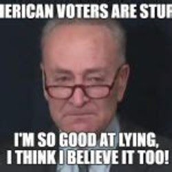 SparkyPatriot's tweet photo. @SenSchumer The Time has come to criminalize Schumer, Pelosi, Clinton, Omar, Biden and the rest of the Demon Serpent Demorats! Red Tsunami coming your way Schum The Pedo! #SchumerForPrison #SchumerIsARapist #BidenRiots #BidenIsARacist #BidenISAPedo https://t.co/650QxxSQ5G