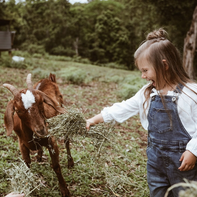 A smile from a child is packaged sunshine and rainbows.

🍃 🐐 💙 🍃

l8r.it/RUU6

#littleoaklove #littleoakcompany #littleoakusa #littleoakdifference #goatformula #toddlerformula #palmoilfree #healthykids #happykids