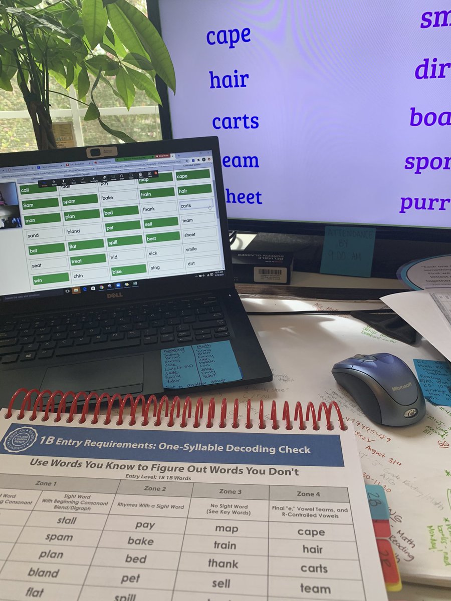 Kelsey Wasser tweet media