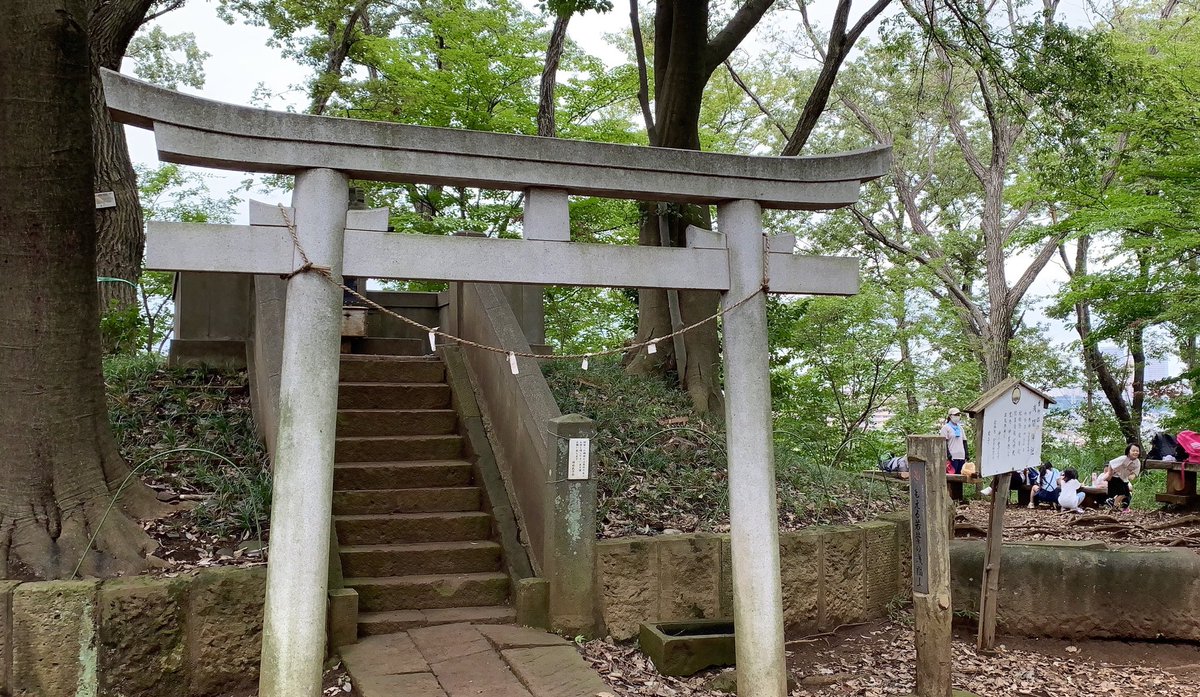 GS_Tokyo109's tweet photo. みんなに自慢したい自然のモノを浅間山で拾ってこよう！小学校低学年のブラウニーは、緑色のドングリ☺️小学校高学年のジュニアは、山の中を駆け走ってると思ったら…「ブラウニーがドングリを拾ってくると思ったから、私たちは"空気"にしたの！」ですって😆
 #ガールスカウト夏チャレ https://t.co/AipKOX1OWT