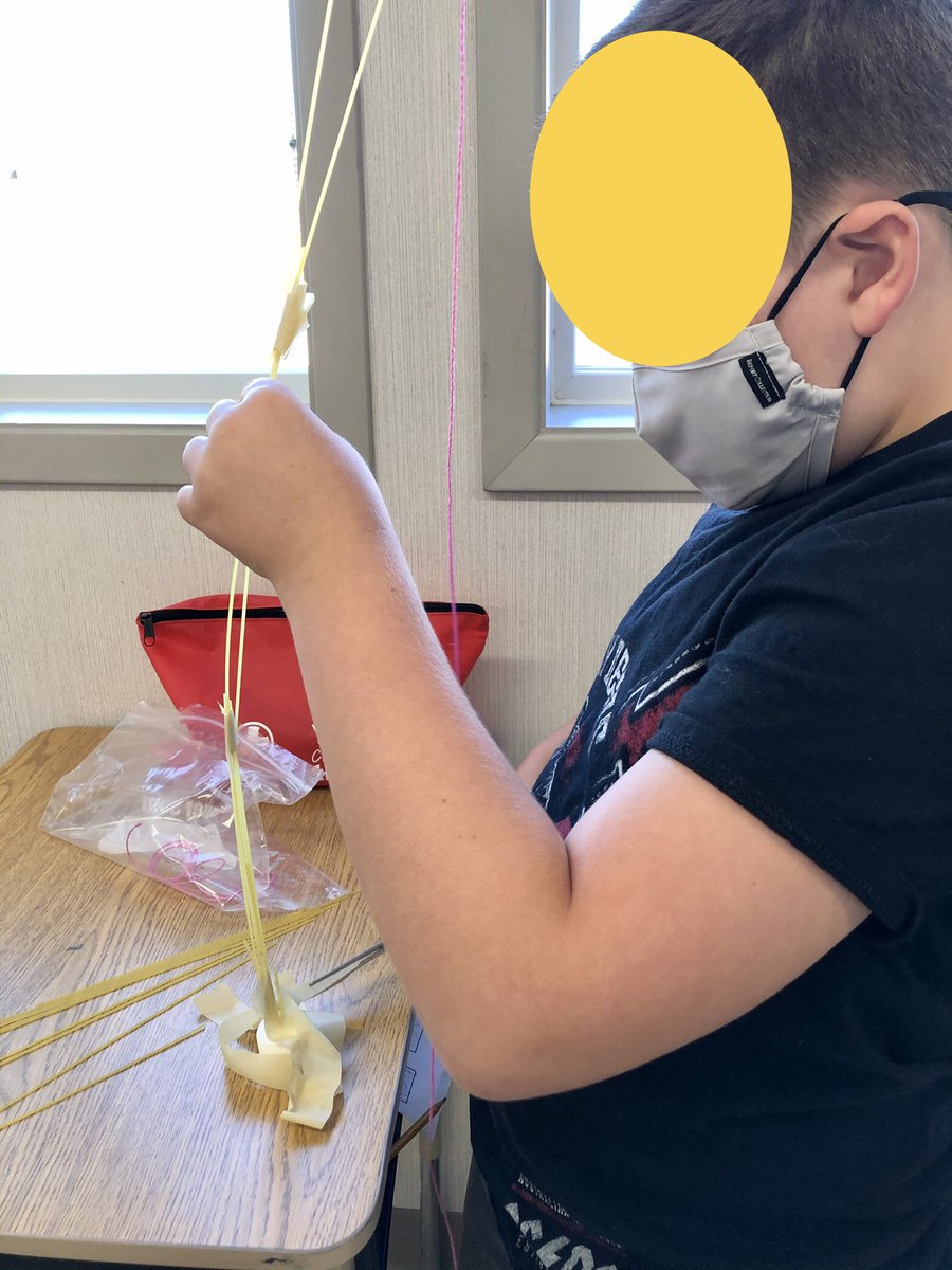 ErinLStevens's tweet photo. Starting our day with our first #STEM challenge definitely got our brains off to a great start! @MonsignorHaller https://t.co/z12tTaHcle