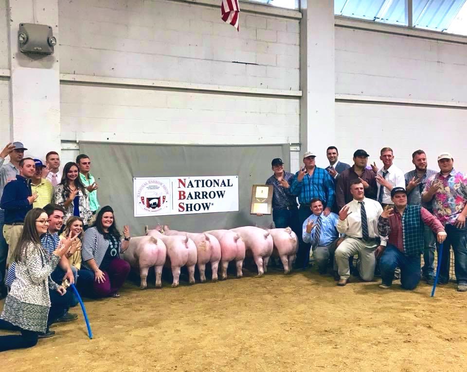 Raaee23's tweet photo. I MISS BARROW SHOW &amp; WESTERN. 💜💛 https://t.co/Pt6u5YsBiU