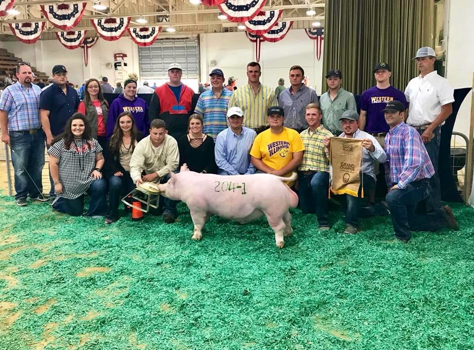 Raaee23's tweet photo. I MISS BARROW SHOW &amp; WESTERN. 💜💛 https://t.co/Pt6u5YsBiU