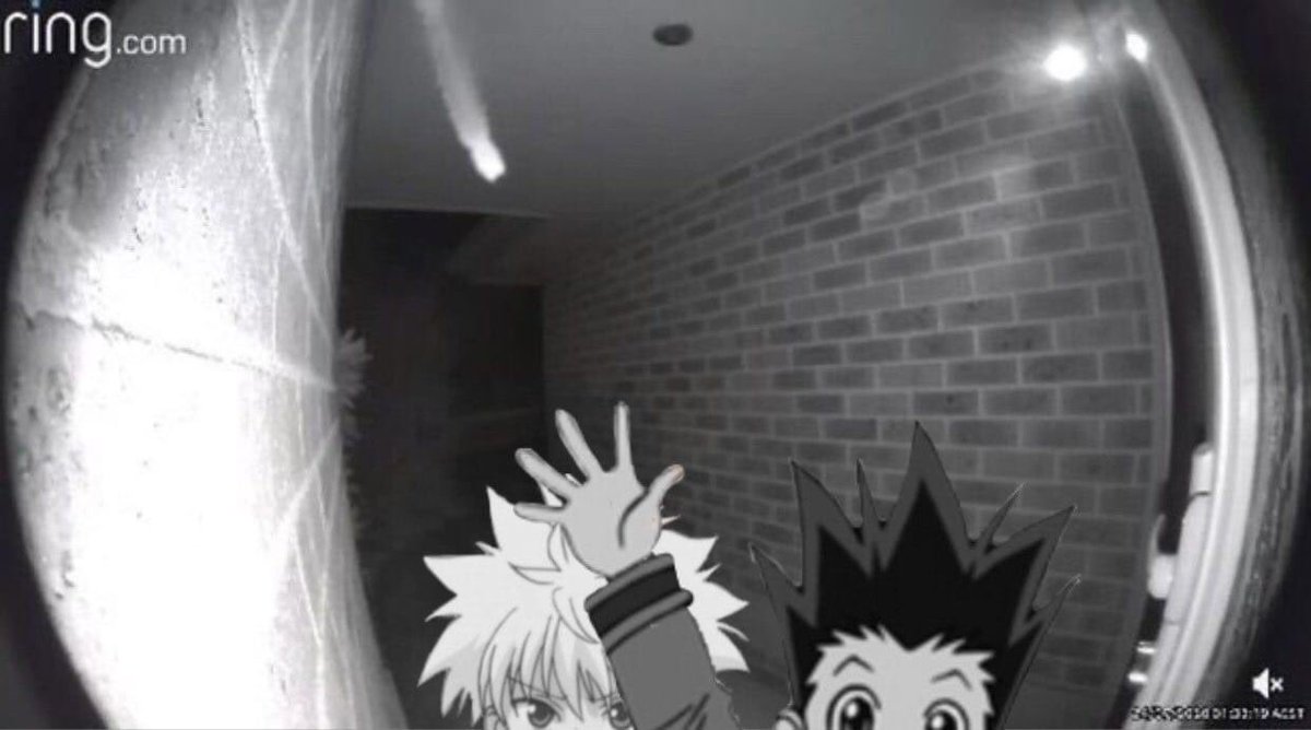 pov: gon and killua are at your front door