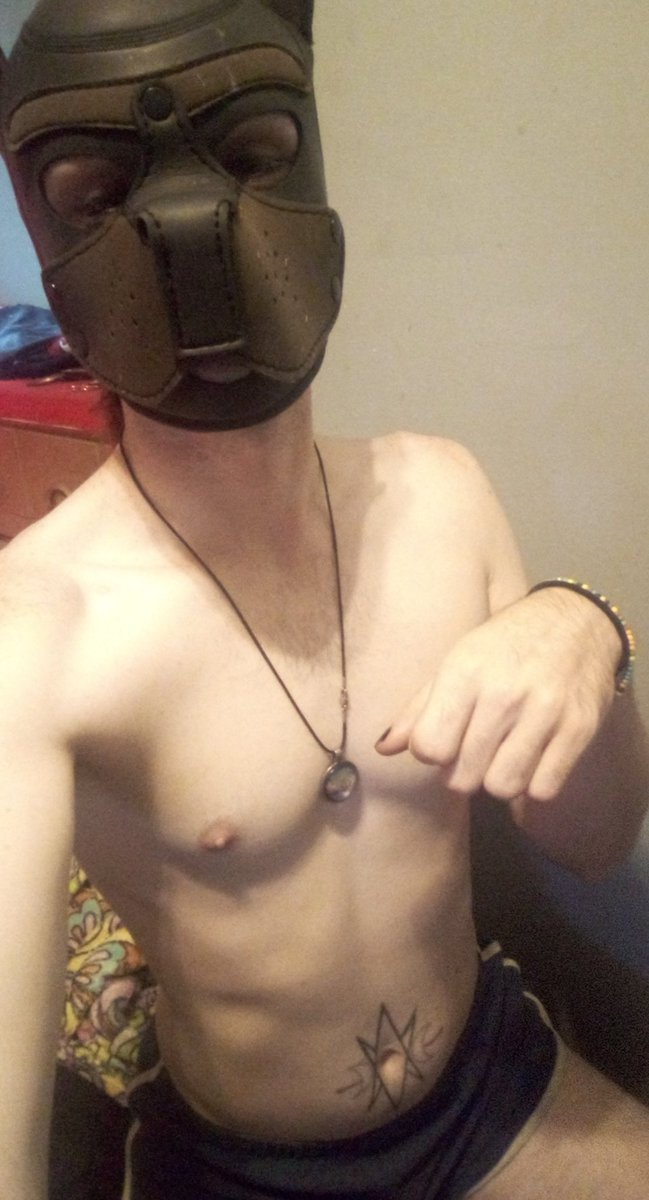 AshtonCole93's tweet photo. @vinpupuk @PhilipJames69 @MusclePupMax Canz i join? https://t.co/PcVo3SGGKE
