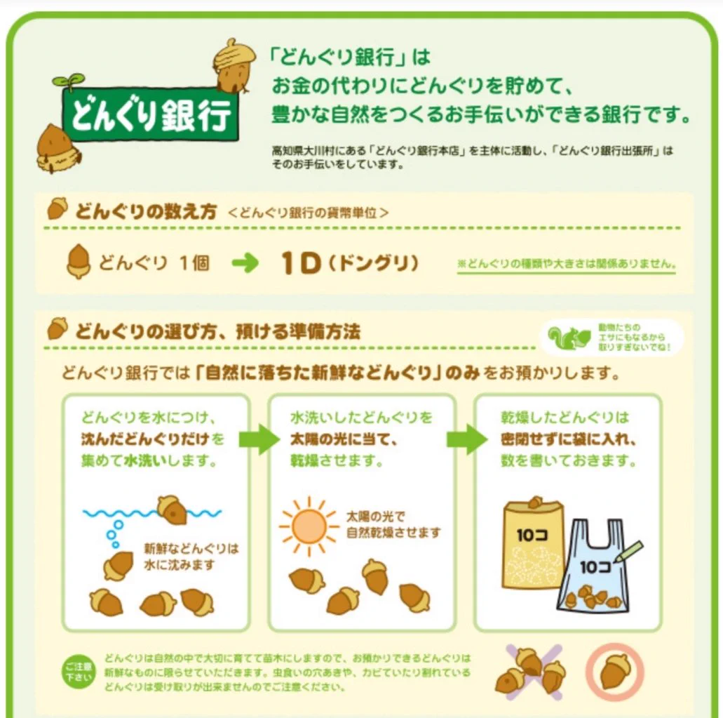 子どもが拾ってくるどんぐり！始末に困っているならどんぐり銀行に預けよう！