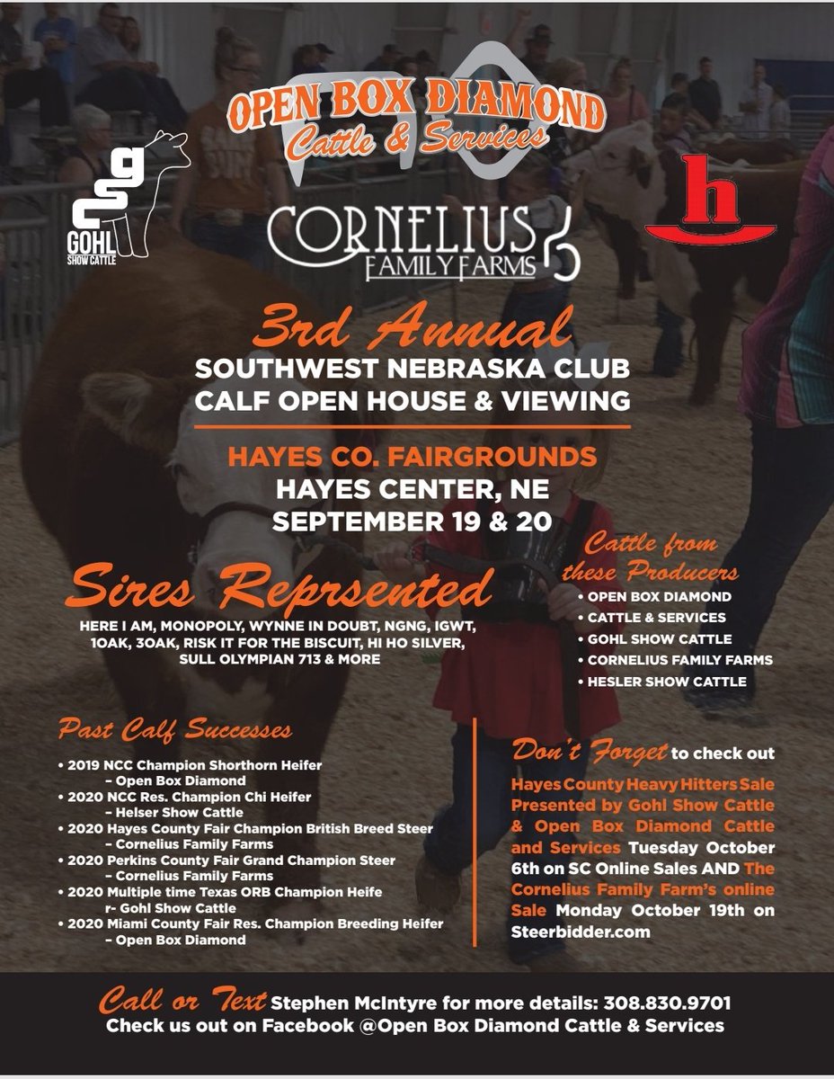 SrMcIntyre16's tweet photo. 5 days out from our open house! Just a few of the calves that will be there! They sell October  6th on @SCOSales. @seth_gohl @McKenizeM https://t.co/9TmHNEQq68