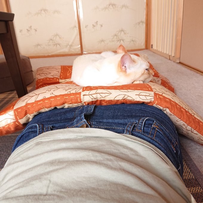 うたた寝のtwitterイラスト検索結果