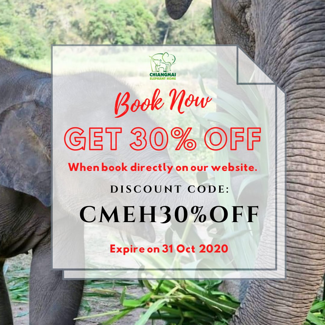 CmElephantHome's tweet photo. ❤HOT PROMOTION! BOOK NOW VISIT US LATER!❤
Book now get 30% off, when book directly on our website.
Book now and then you can visit us later this year or next year!
✅Use this discount code: CMEH30%OFF 🙏🐘♥️
.
#ChiangMaiElephantHome #SpecialPrice #discountcode #HotPromotion https://t.co/bxpTgrm9yU