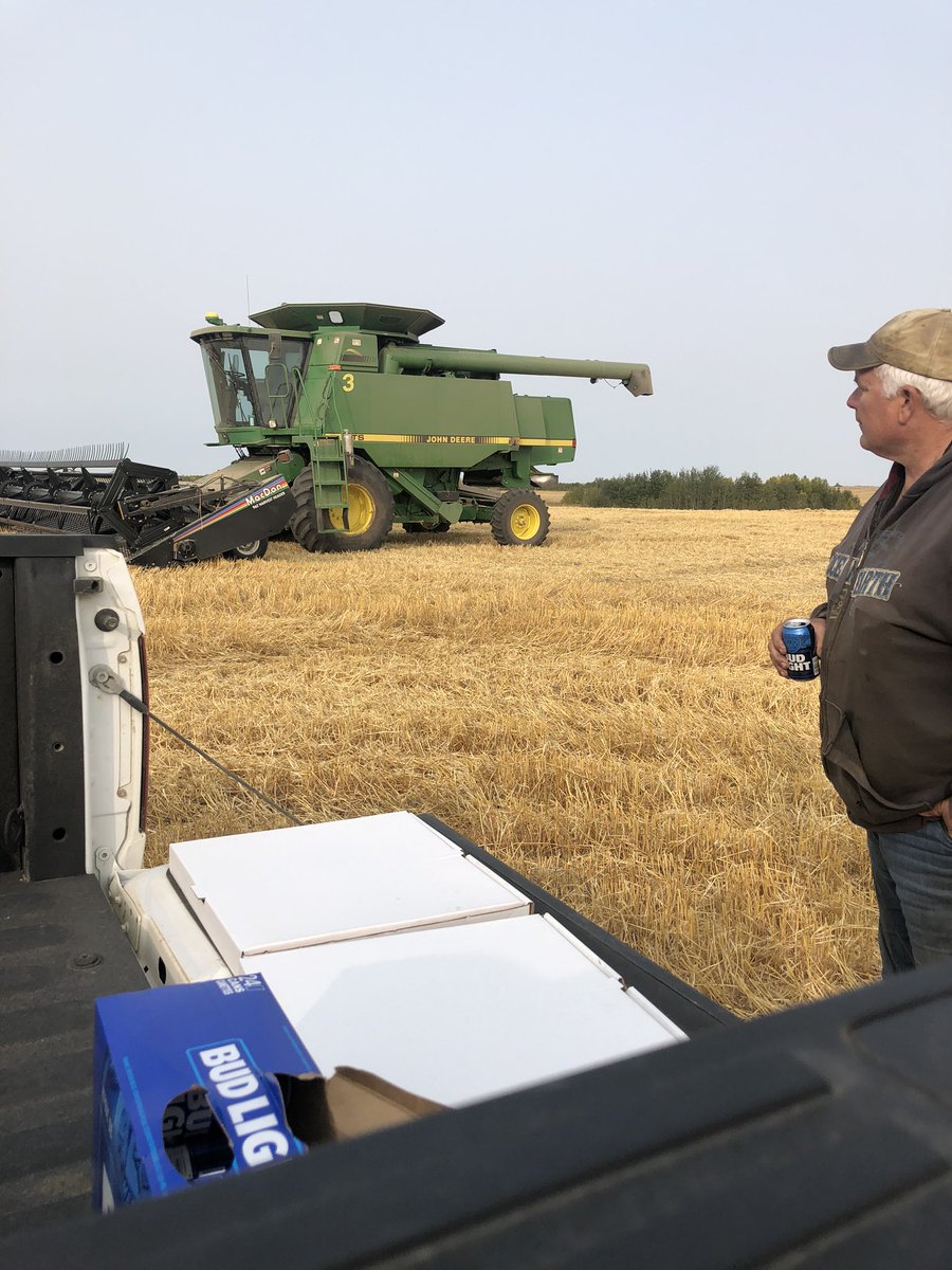 Julia Vold tweet media