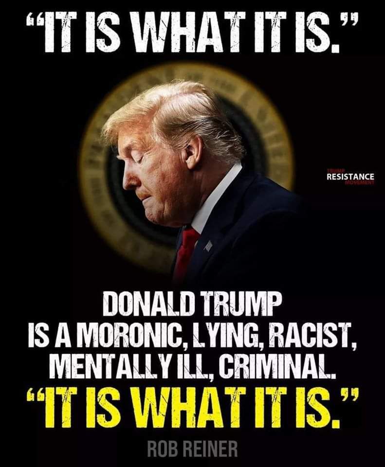 sheriffali's tweet photo. @GOP @realDonaldTrump A Vote for Donald Trump or Republicans is a Vote to completely throw America in the Abyss.
Trump and Republicans have damaged America in unprecedented ways.
#VoteTotalBlue2020
#RemoveTraitorTrump
#RemoveCorruptRepublicans https://t.co/YsWxOxgZW0