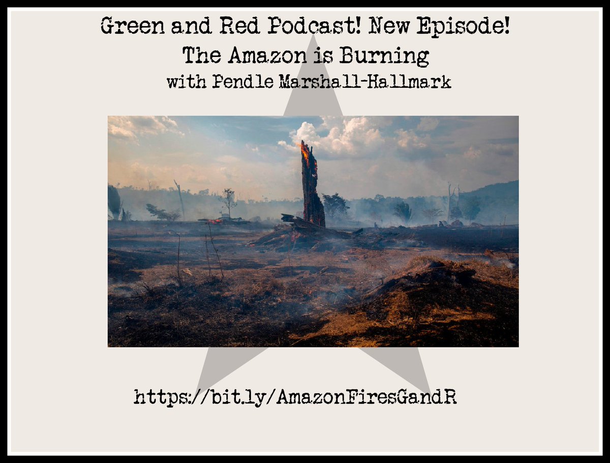 PodcastGreenRed's tweet photo. The Amazon is Burning! U.S. corporations are profiting from it. We talk with @PendleTheWitch from @amazonwatch about this year’s fires, who’s responsible &amp; what can be done. 
🎙️https://t.co/ZQt6somKIc🎙️
#climatecrisis #climate2020 #amazonburning #stopthemoneypipeline https://t.co/y3DePoouQ1