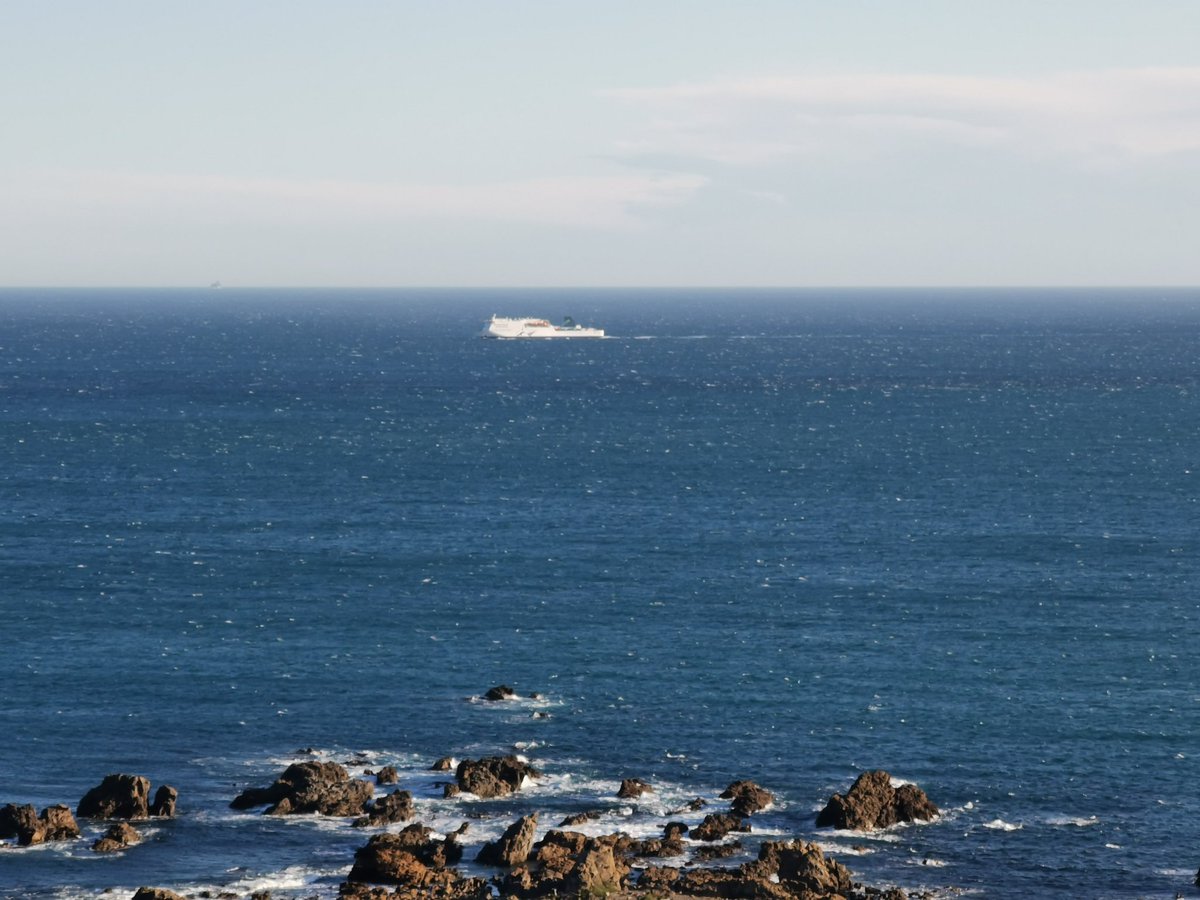 WildBayNZ's tweet photo. Watching the evening start to come to a close from Moa Point is something I find relaxing.
Enjoying the outdoors is many times better than staying inside.
#MoaPoint #CookStrait #Evening https://t.co/2GAZ2tt1rs