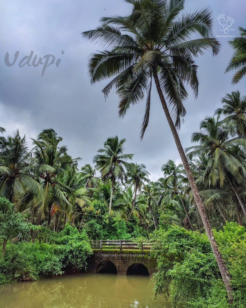❤️❤️

#nature #naturephotography #udupitourism #travelkarnataka #karnataka #karnatakatravel #karnatakatourism #travel #wander #wanderlust #vacation #vacationmode #greenery #rainyseason #monsoon #coastalkarnataka #coastal #udupi #nammaudupi #udupidiaries … instagr.am/p/CFJY0G3HQ7_/