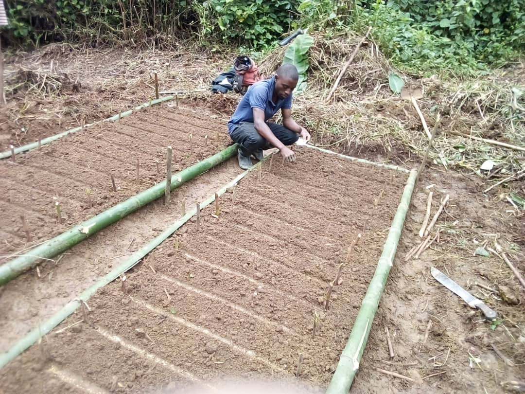 OcglOng's tweet photo. #OCGL-Maniema s'engage dans la lutte contre le réchauffement climatique à travers la production des plantules d'Acacia. Objectif: #1milliards d'arbres fixés par le Ministère national de l'environnement. https://t.co/4lq4OekQFx