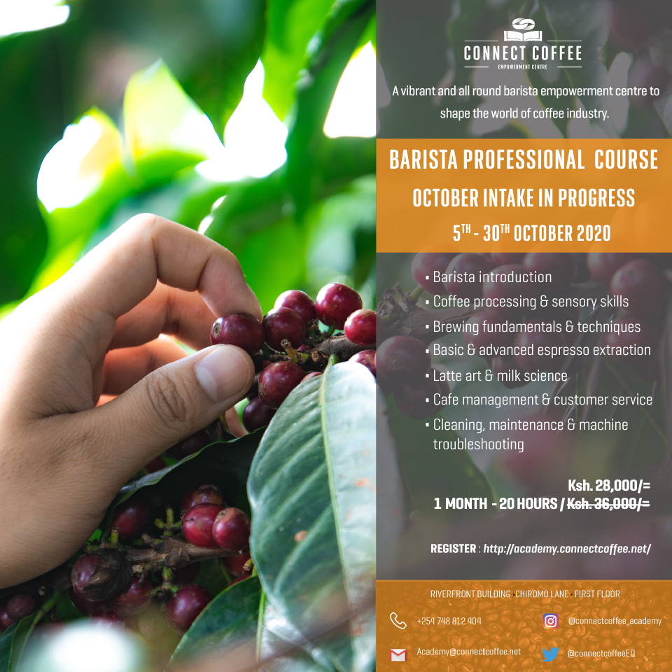 ConnectCoffeeEd's tweet photo. Coffee is an art that begins from the farm. At @ConnectCoffeeEd , learners are exposed to the whole coffee process from #seedtocup as well as the different processing methods involved. 

Coupled with #worldclass barista equipment, learners are guaranteed of informative sessions. https://t.co/h6SpGkKbmn